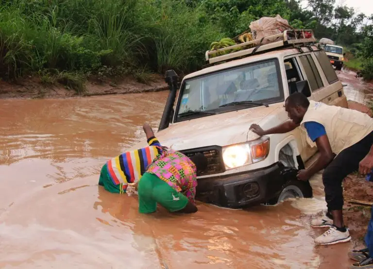 whatsapp image 2026 02 11 at 18.55.03 (1)