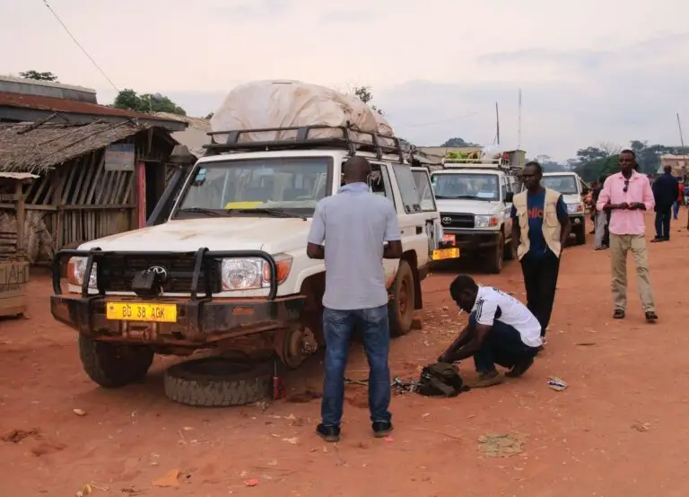 whatsapp image 2026 02 11 at 18.55.03