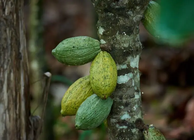 whatsapp image 2026 02 11 at 18.55.12