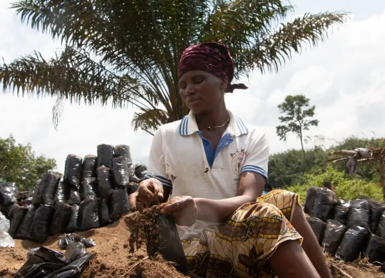 whatsapp image 2026 02 11 at 18.55.13 (1)